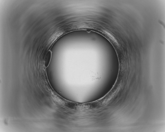 X0000096480793200802071918