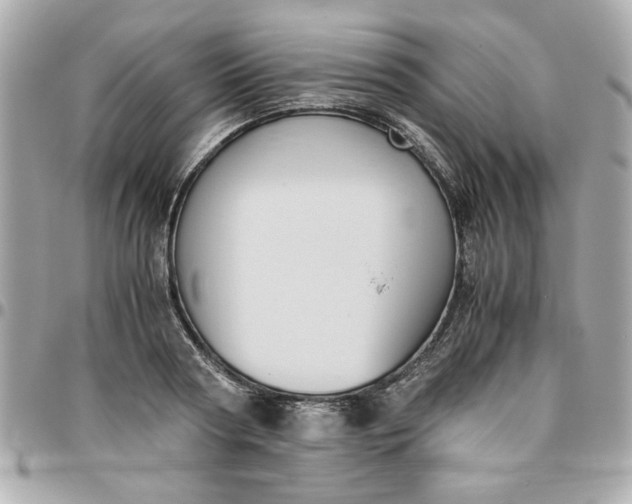 X0000096480794200802071918