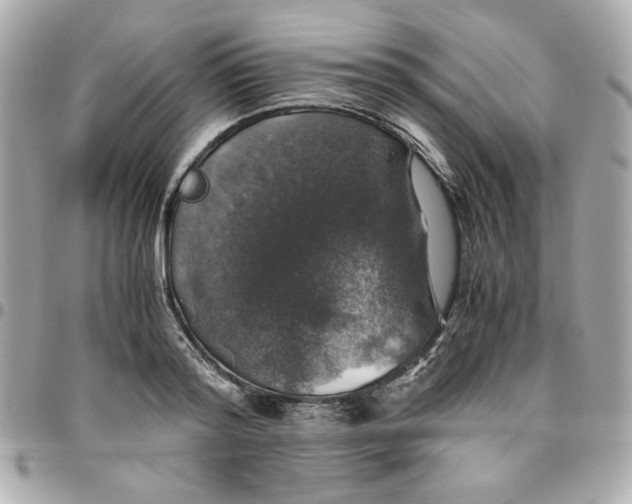 X0000096480796200802071918