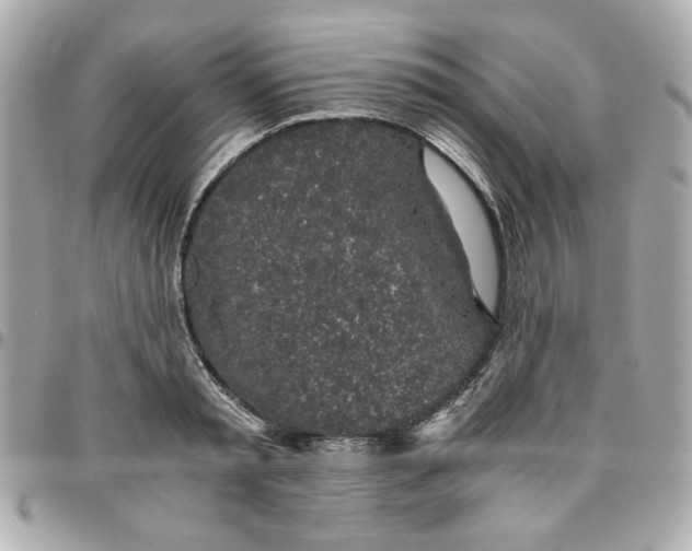 X0000096480797200802071918