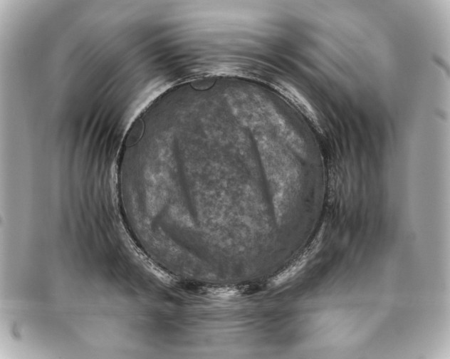 X0000096480798200802071918