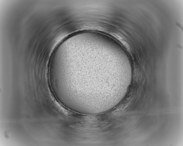 X0000096480799200802071918