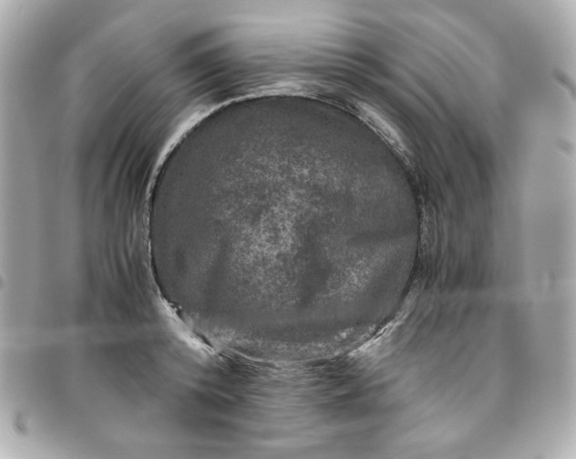 X0000096480800200802071918