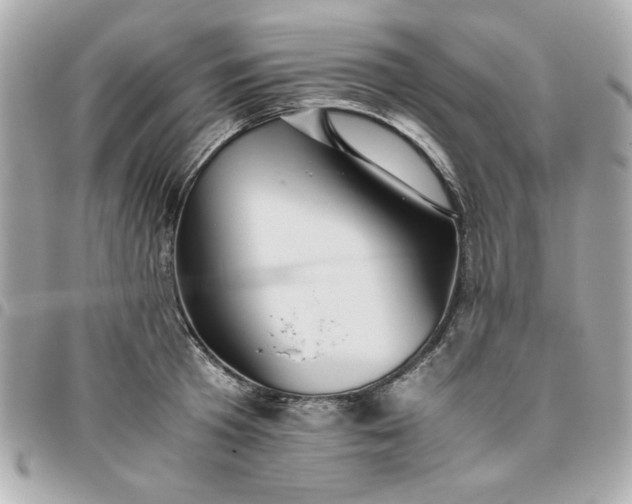 X0000096480801200802071918