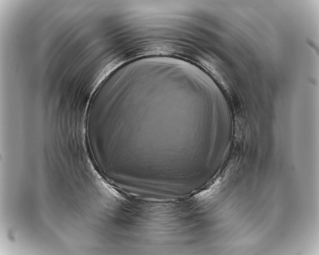 X0000096480802200802071918