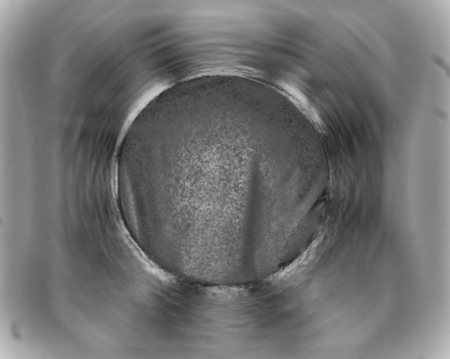 X0000096480804200802071918