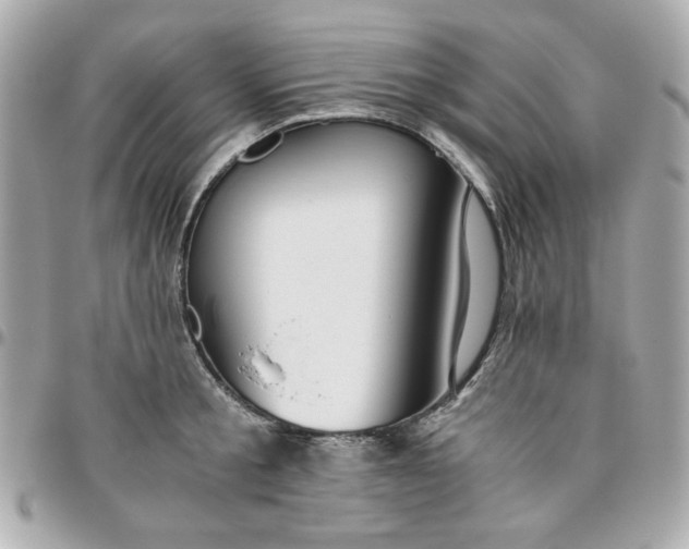 X0000096480805200802071918