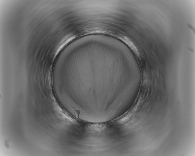 X0000096480806200802071918