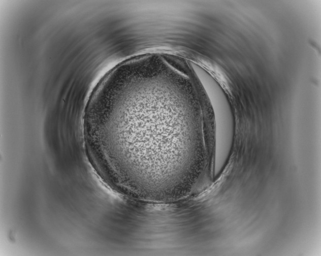 X0000096480808200802071918