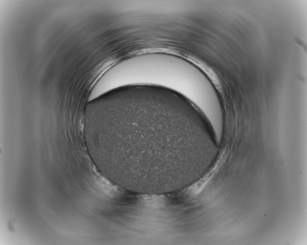 X0000096480809200802071918