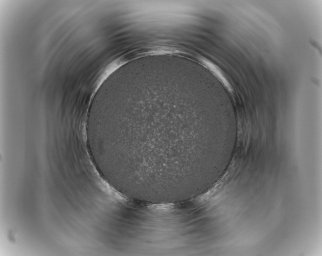 X0000096480810200802071918