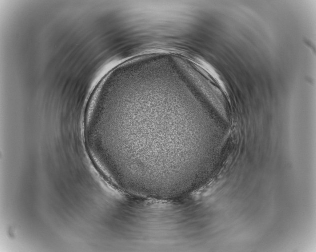 X0000096480811200802071918