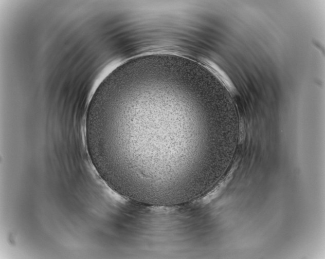 X0000096480812200802071918