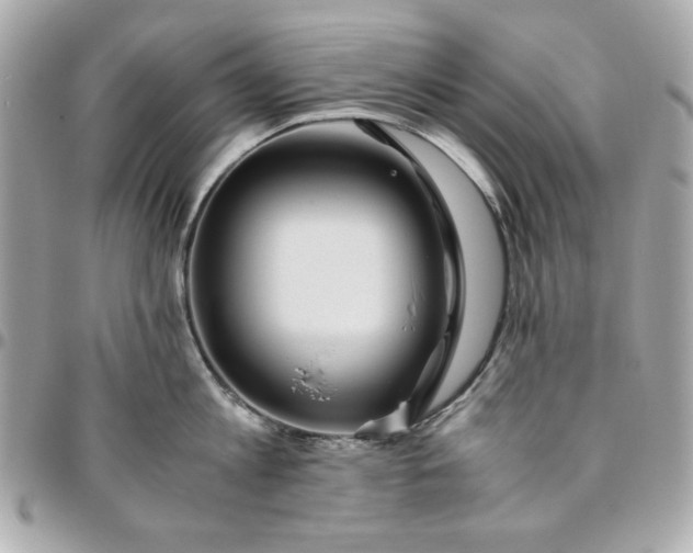 X0000096480813200802071918