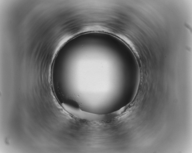 X0000096480815200802071918