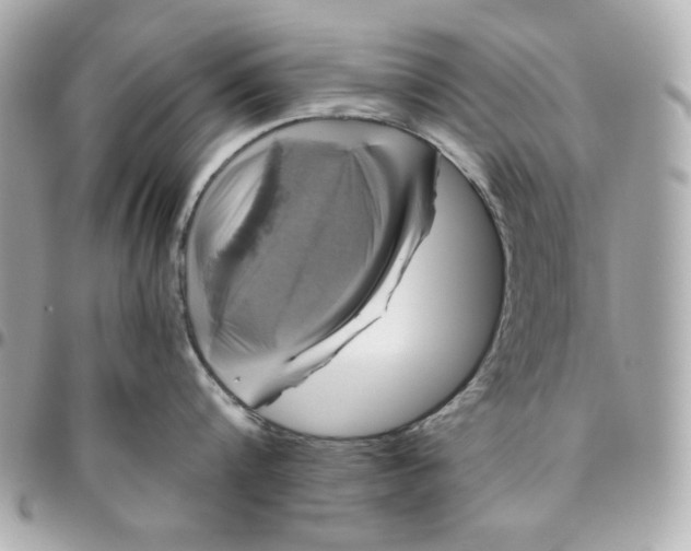 X0000096480816200802071918