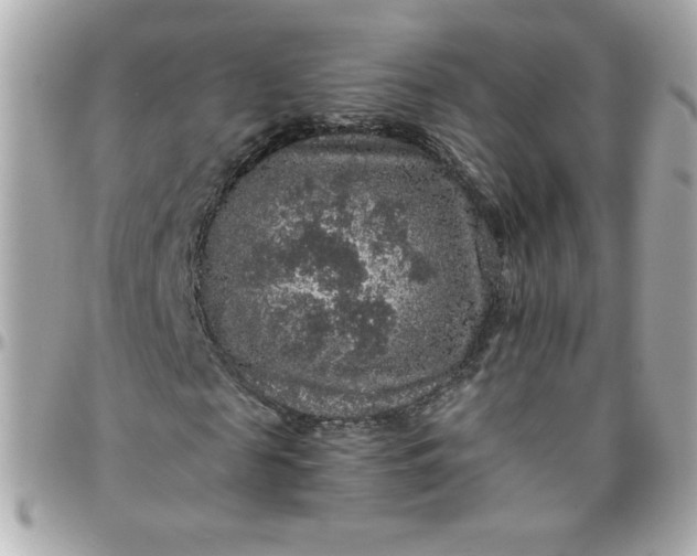 X0000096480817200802071917