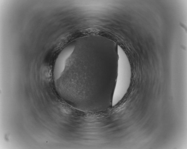 X0000096480818200802071917