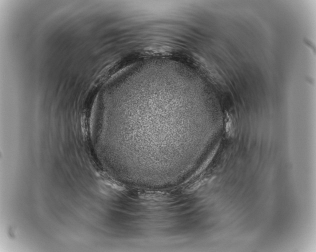 X0000096480819200802071917