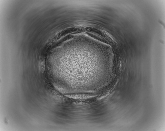 X0000096480821200802071917