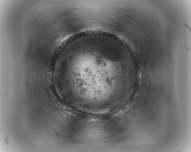 X0000096480822200802071917