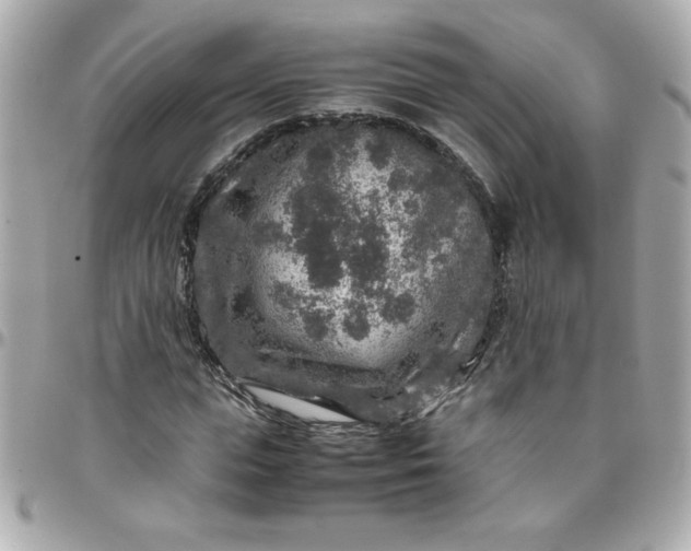 X0000096480823200802071918