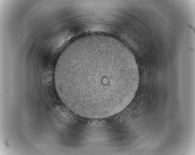 X0000096480824200802071918