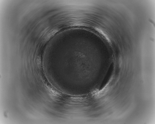 X0000096480825200802071918