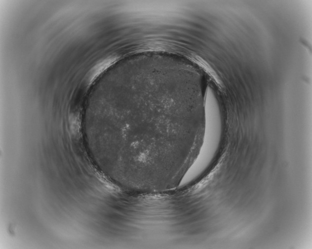 X0000096480826200802071918