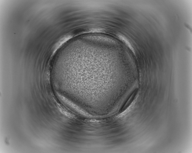 X0000096480827200802071918