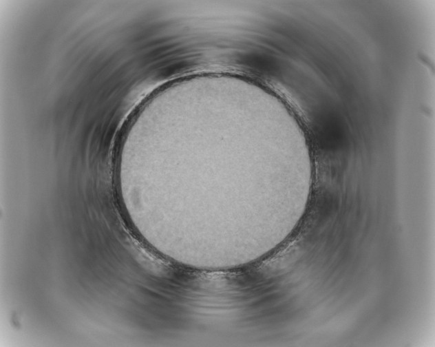 X0000096480828200802071918