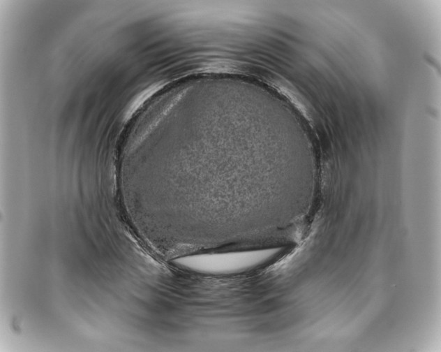 X0000096480829200802071918