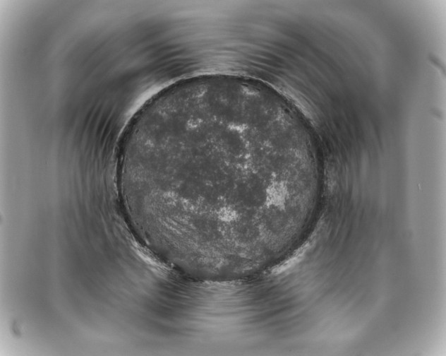 X0000096480830200802071918