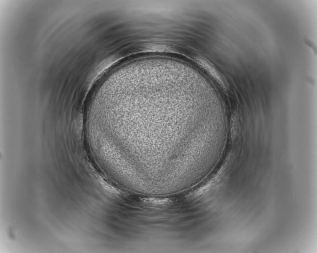 X0000096480831200802071918