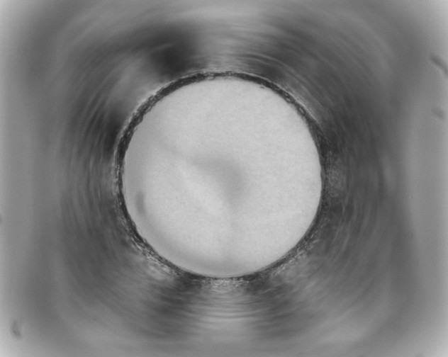 X0000096480832200802071918