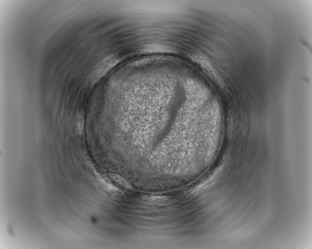 X0000096480833200802071918