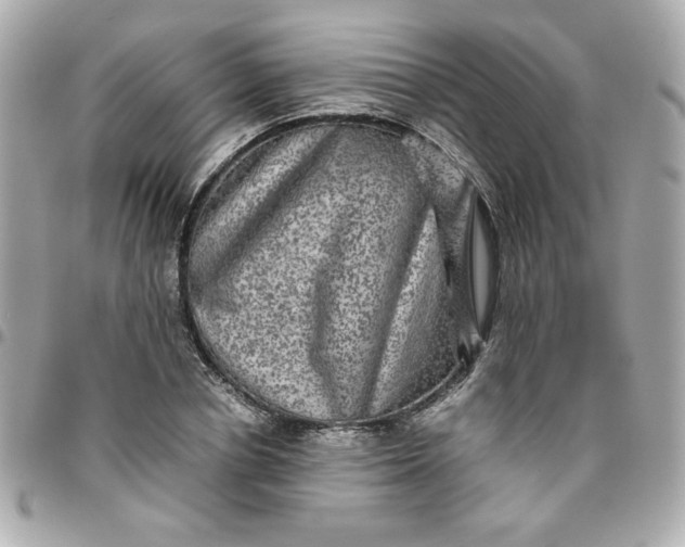 X0000096480834200802071918