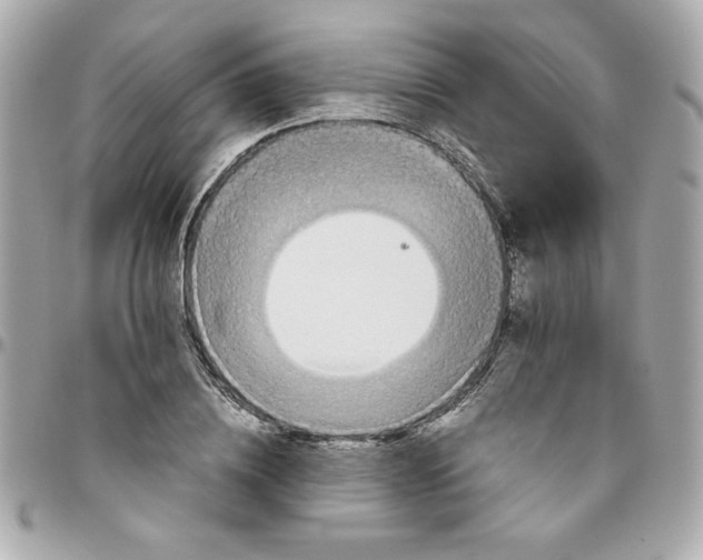 X0000096480836200802071918