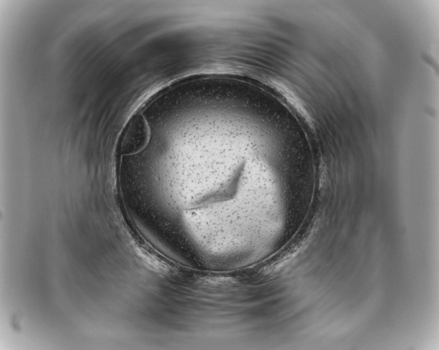 X0000096480837200802071918