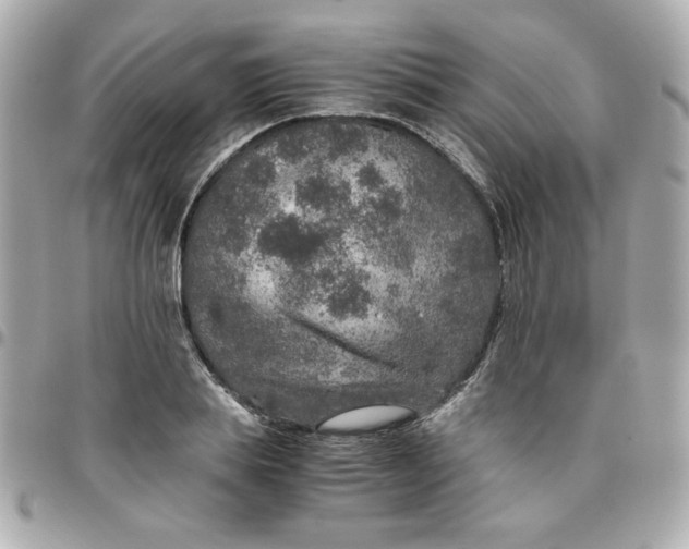 X0000096480839200802071918