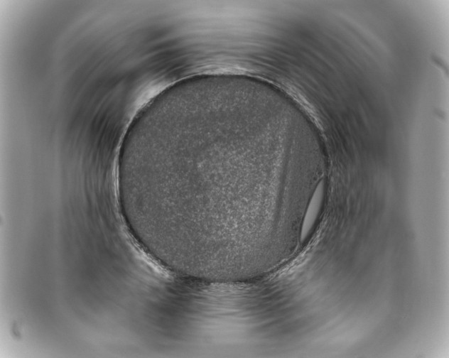 X0000096480840200802071918