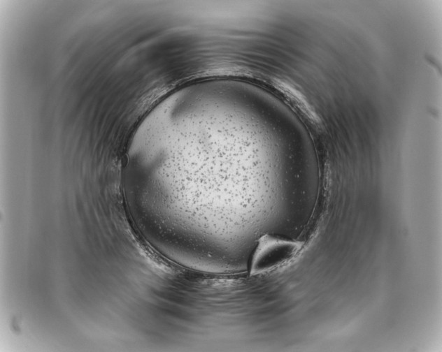 X0000096480841200802071918