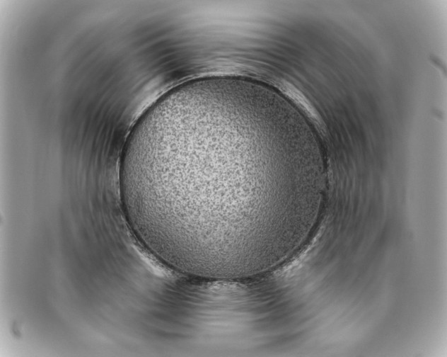 X0000096480842200802071918