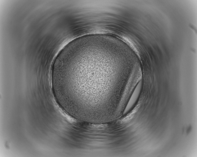 X0000096480843200802071918