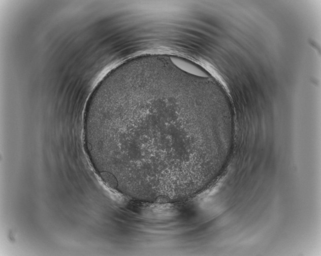 X0000096480845200802071918