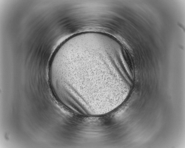 X0000096480846200802071918