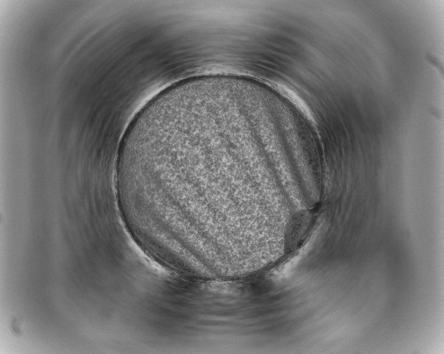 X0000096480847200802071918