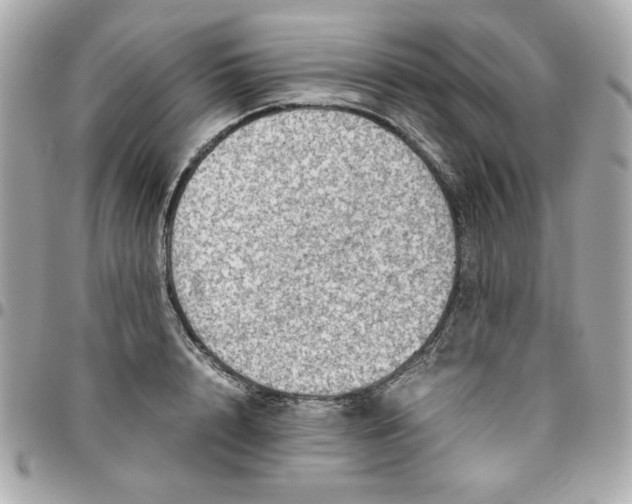 X0000096480848200802071918