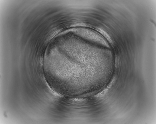 X0000096480849200802071918