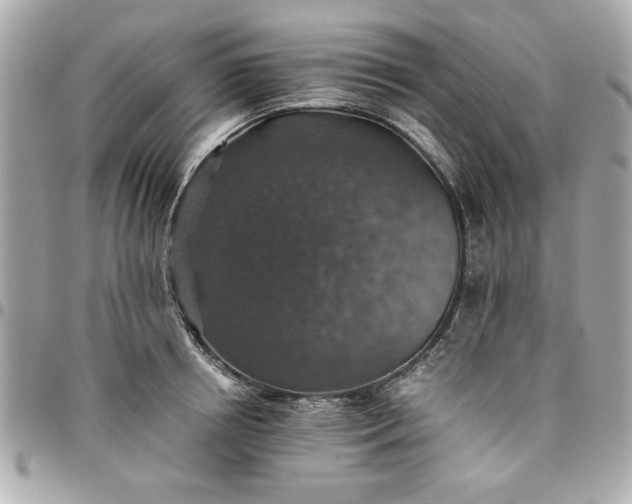 X0000096480850200802071918